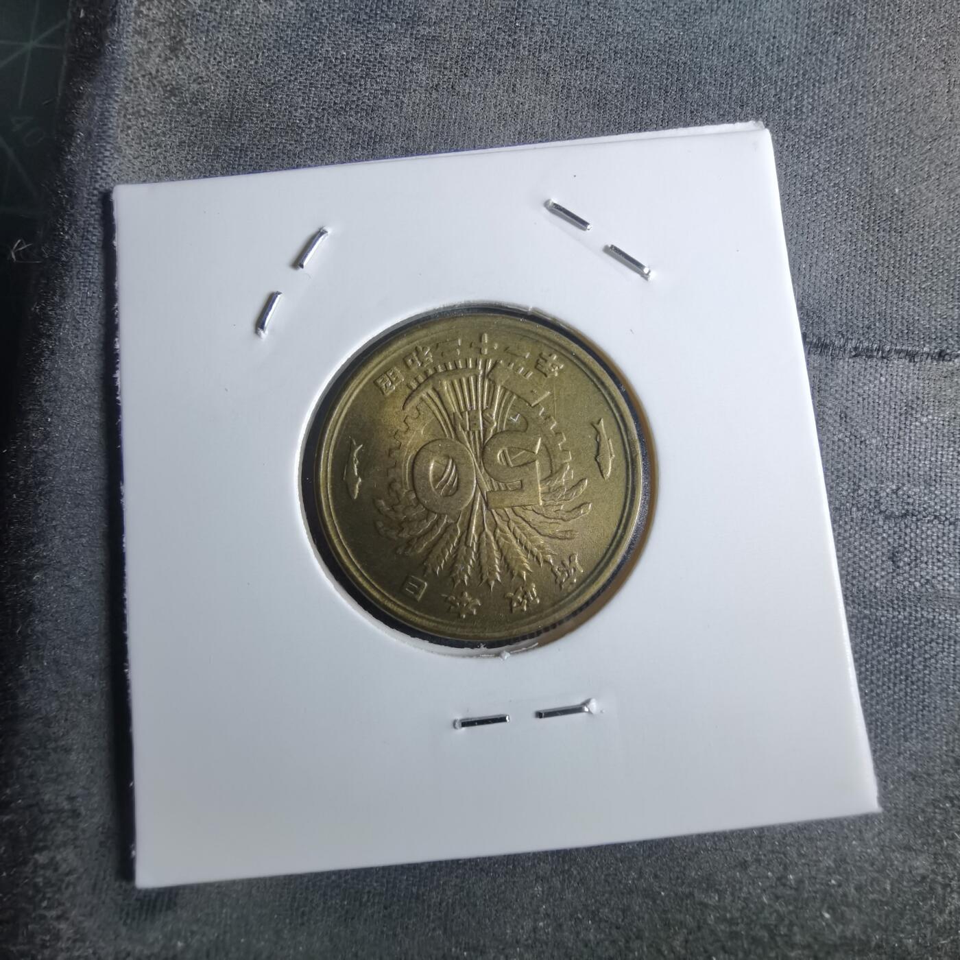 沼泽如烟--第922场