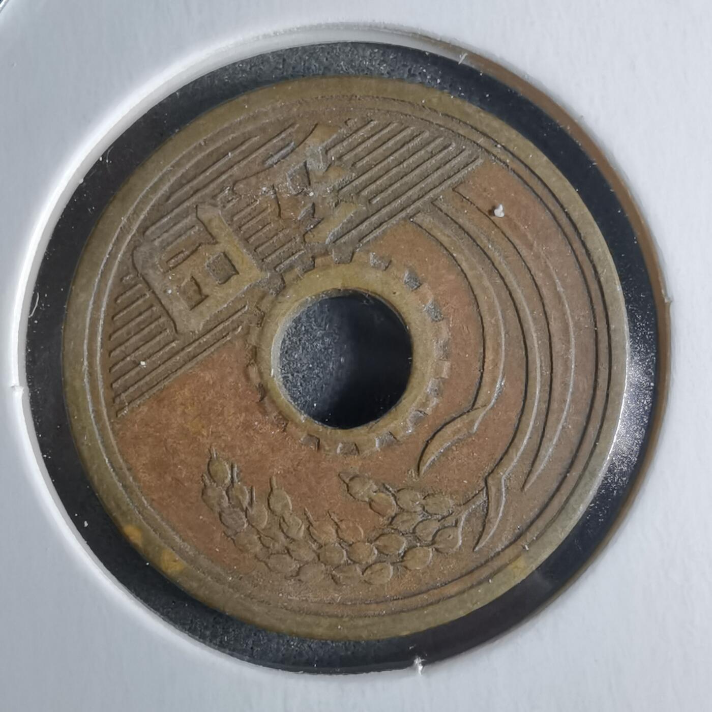 沼泽如烟--第922场