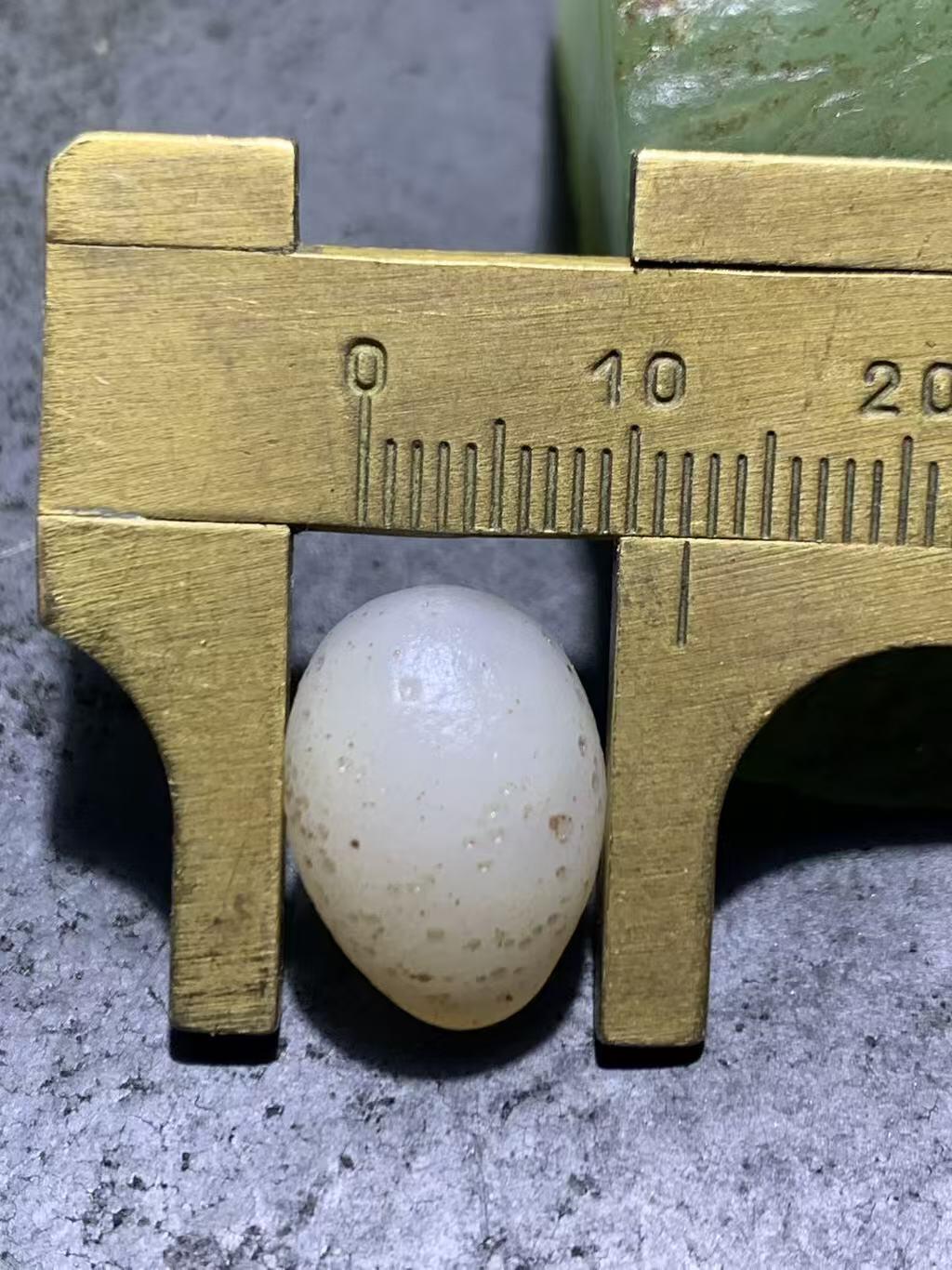 精美天然戈壁阿拉善寿桃形玛瑙原石一颗，