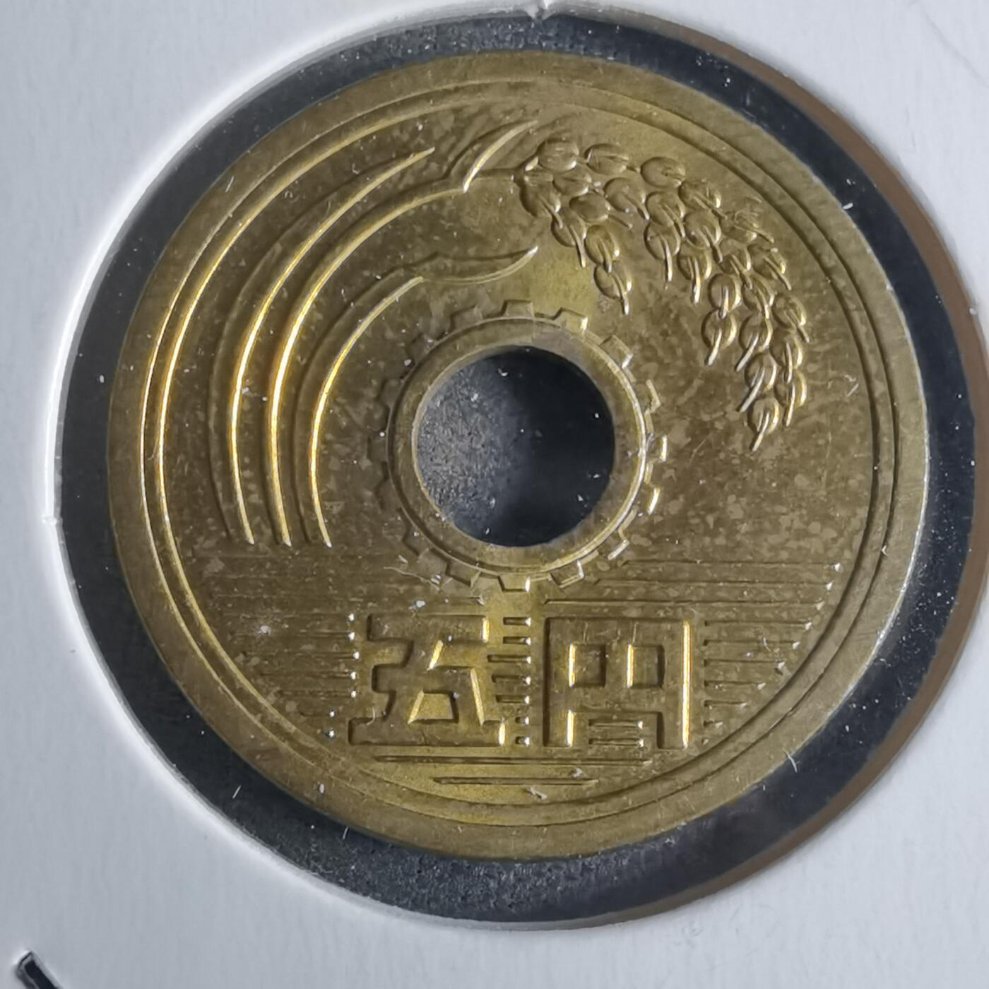 沼泽如烟--第922场