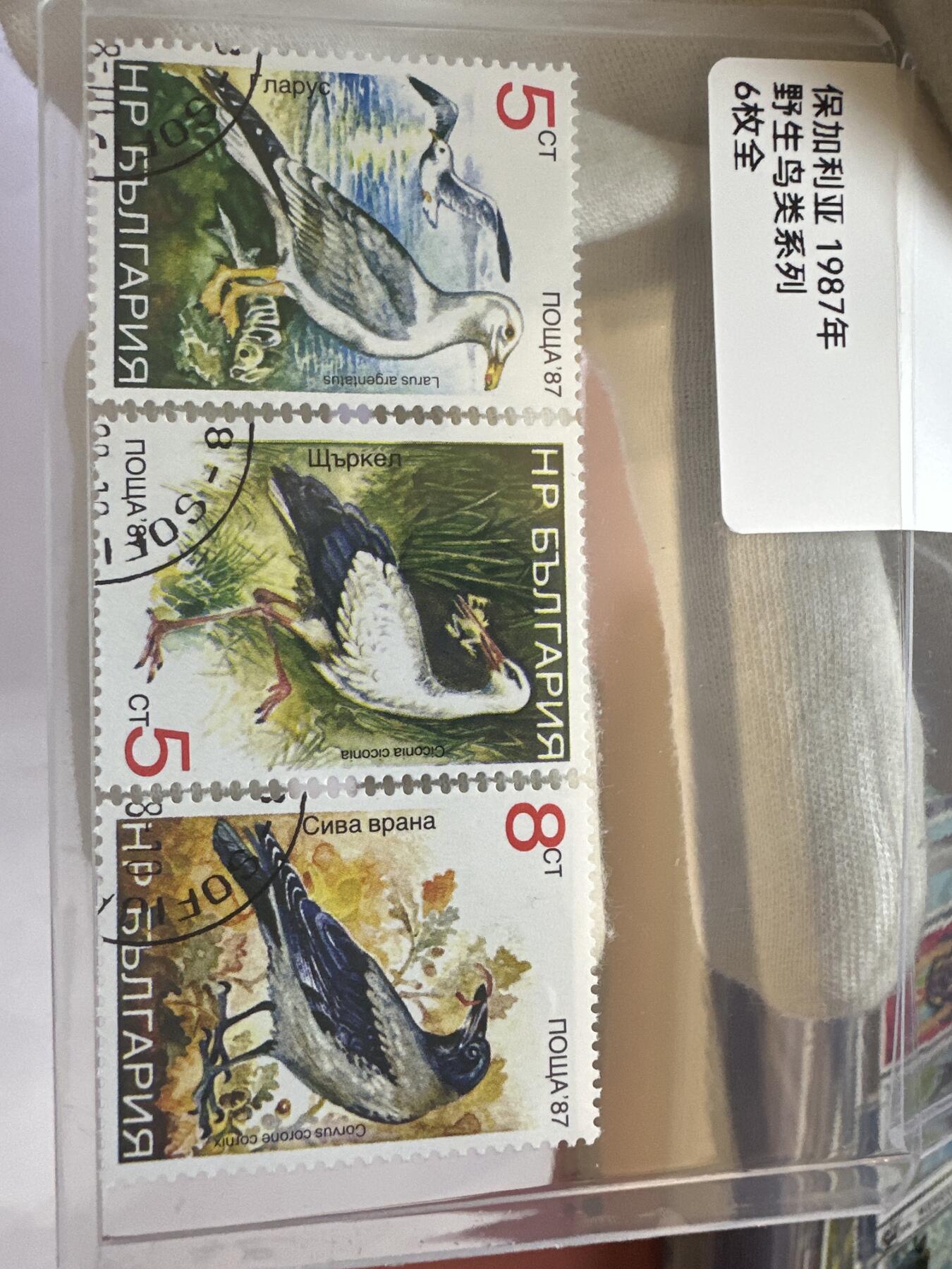 12.6邮票专场 保加利亚1987年野生鸟类系列6全