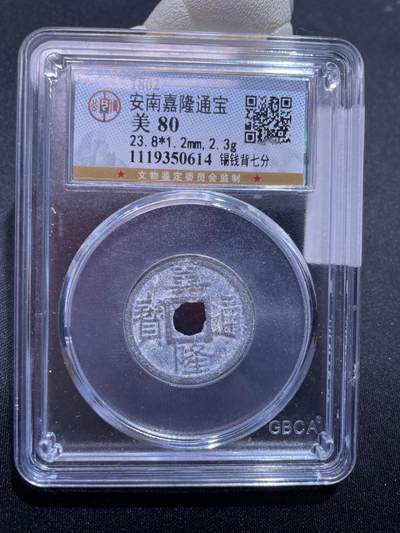 捡漏专场 - 安南嘉隆通宝