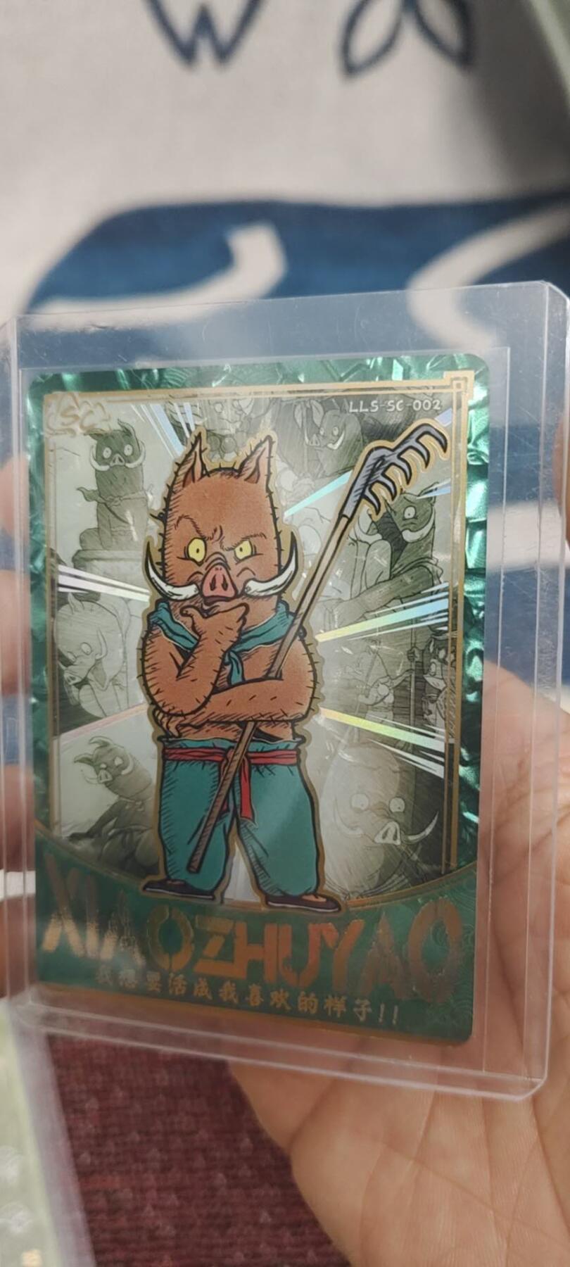 秋原瞳的小店第二十九期（持续收拍，今年的最后的一次旅行，期待在有雪的路上）