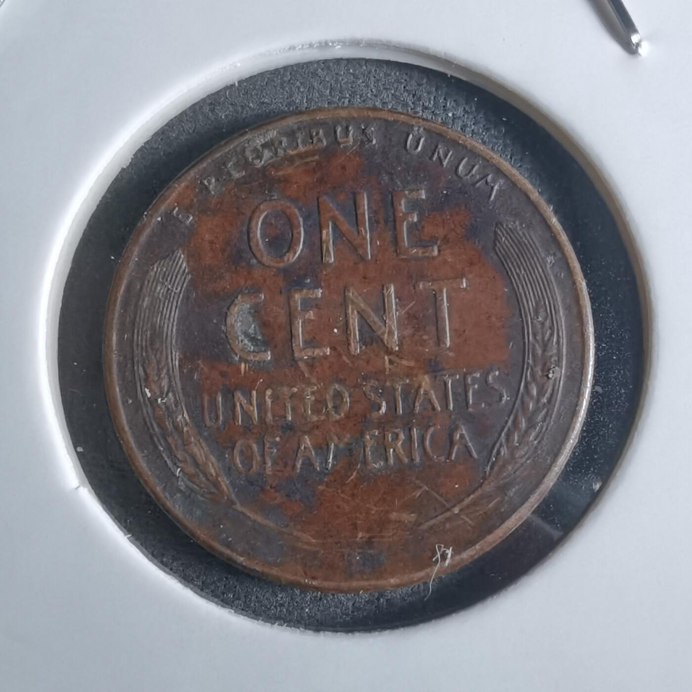 沼泽如烟--第922场