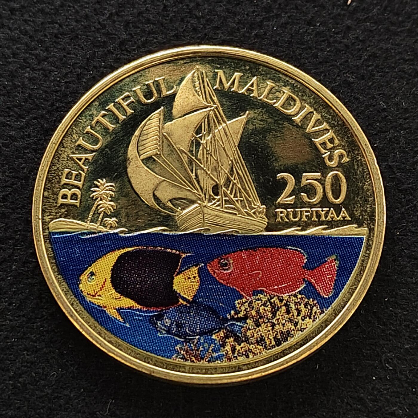 【全场包邮】纯粹捡漏拍483场（免费代拍第20场）