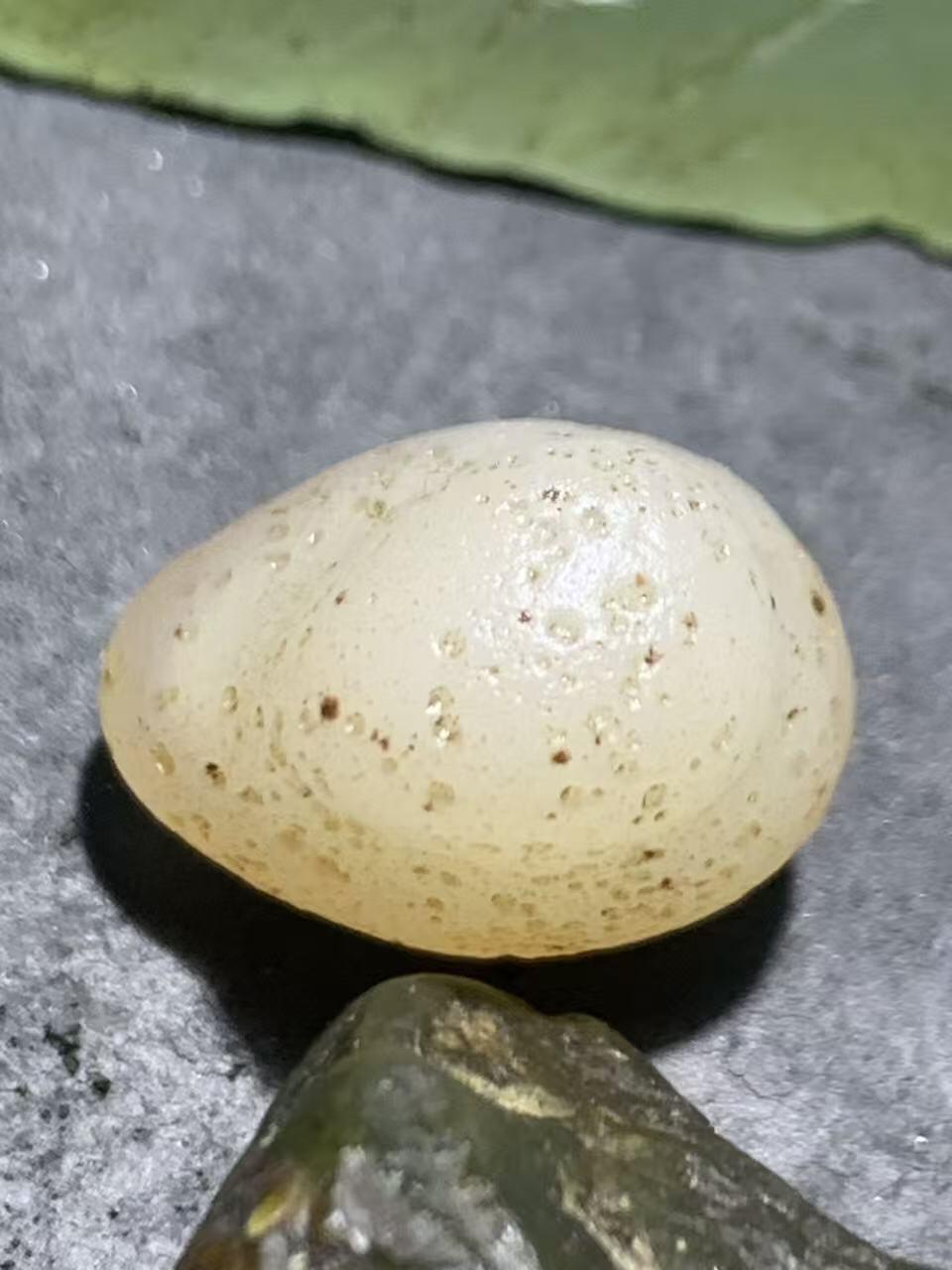 精美天然戈壁阿拉善寿桃形玛瑙原石一颗，