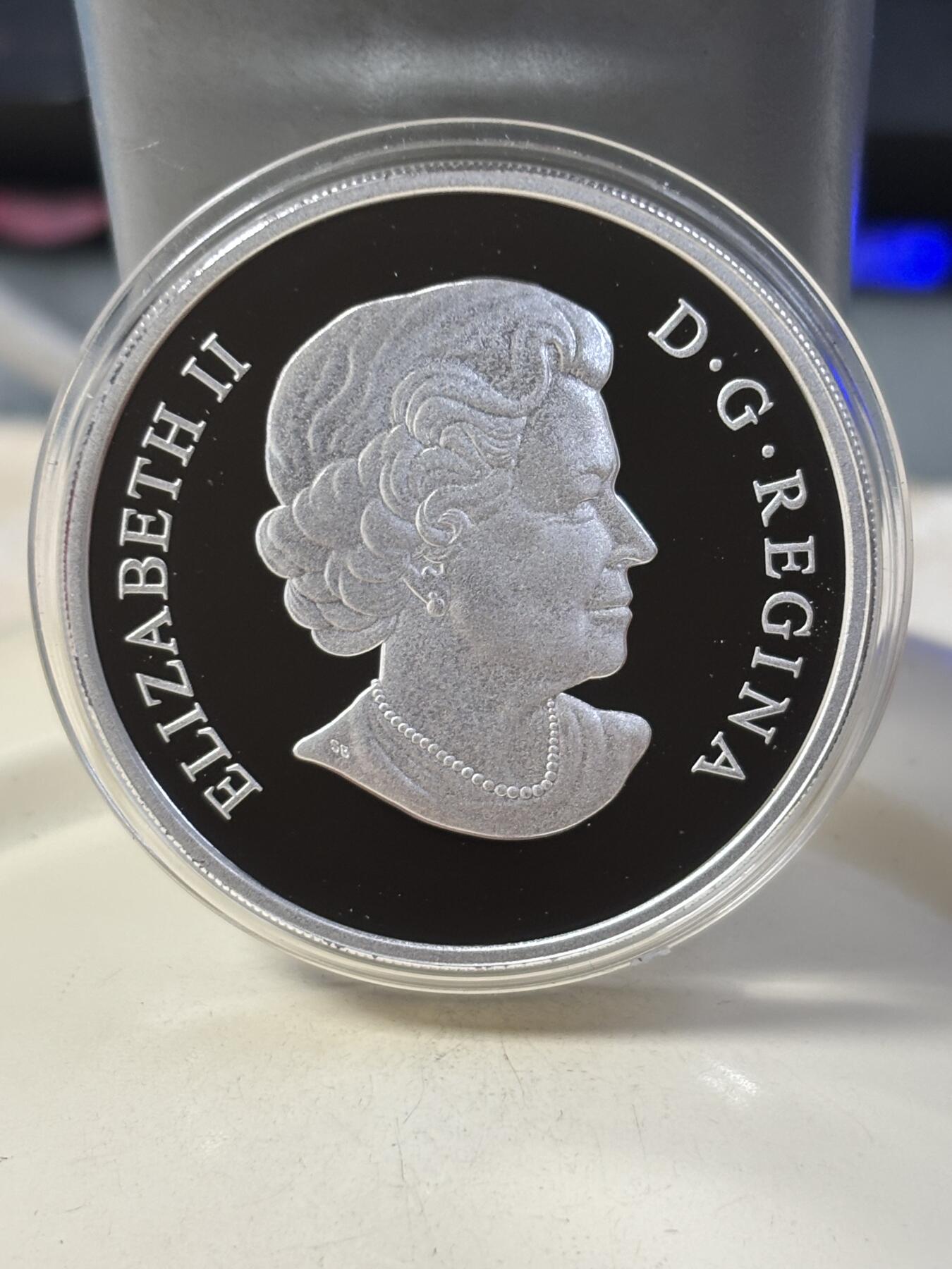 第184期拍卖 加拿大2010年中国生肖系列虎年圆形本色纪念银币，9999银，31.39克，发行9999枚