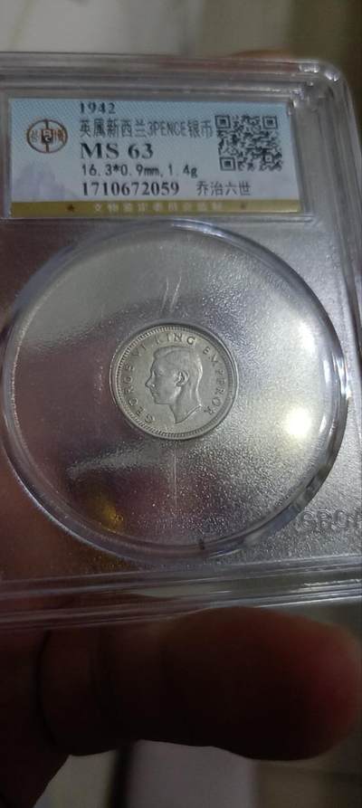 英属新西兰银币 - 英属新西兰银币