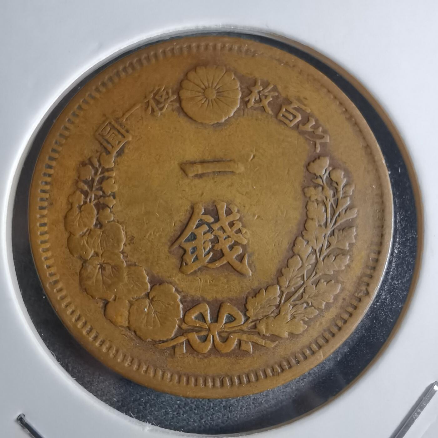 沼泽如烟--第922场