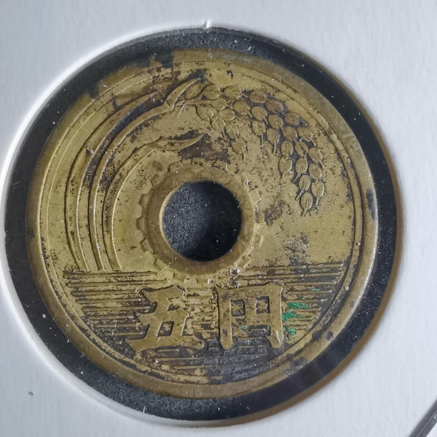 沼泽如烟--第922场