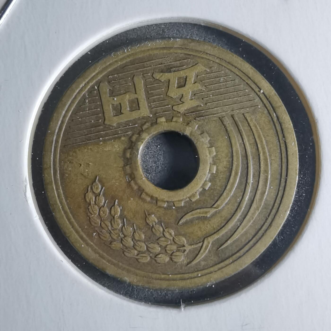 沼泽如烟--第922场