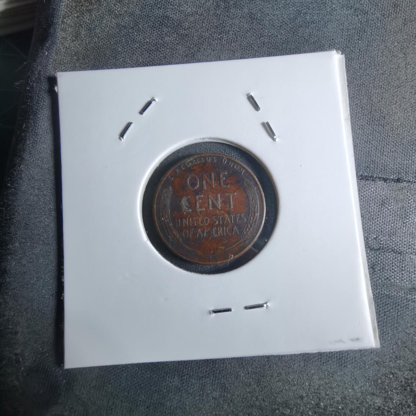 沼泽如烟--第922场