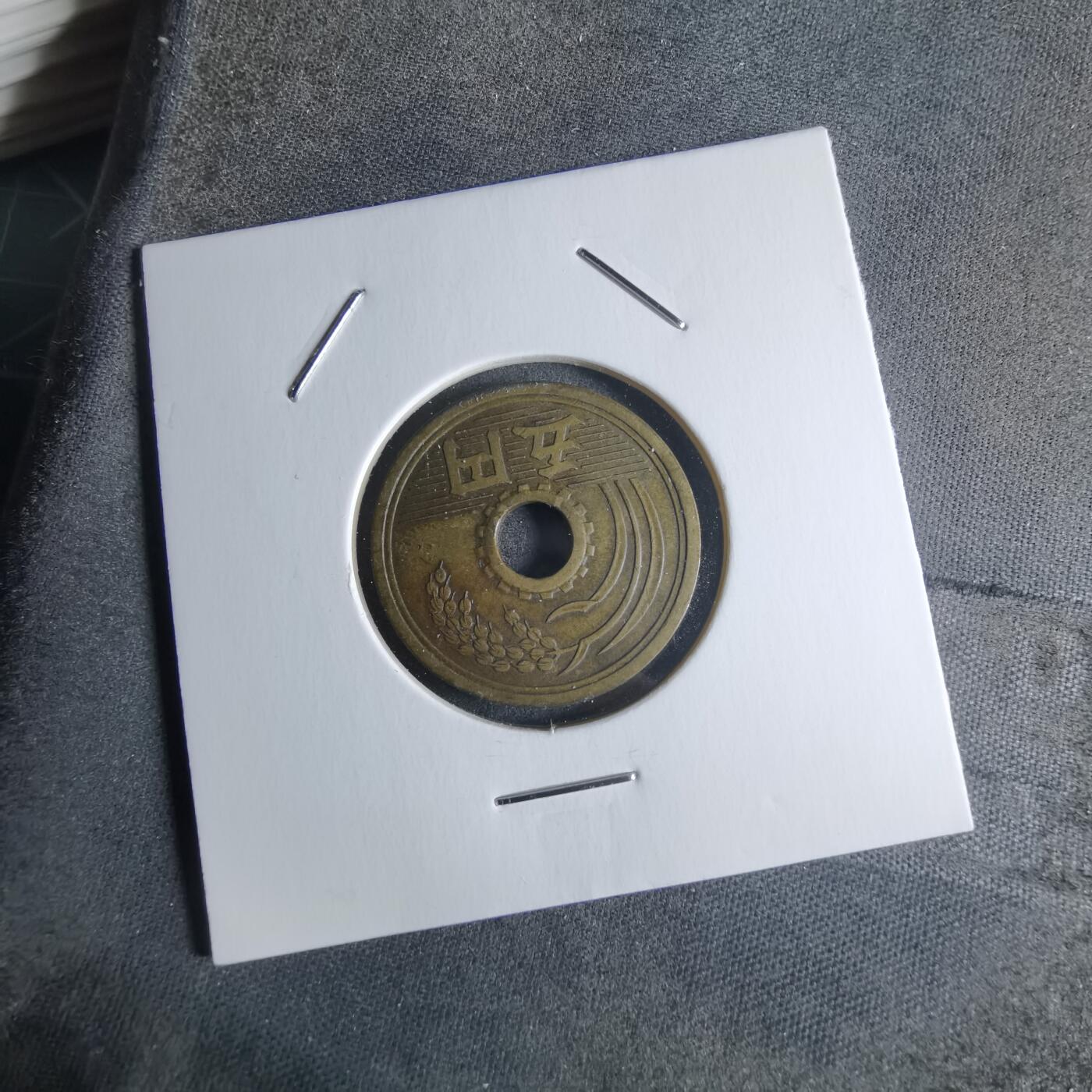 沼泽如烟--第922场