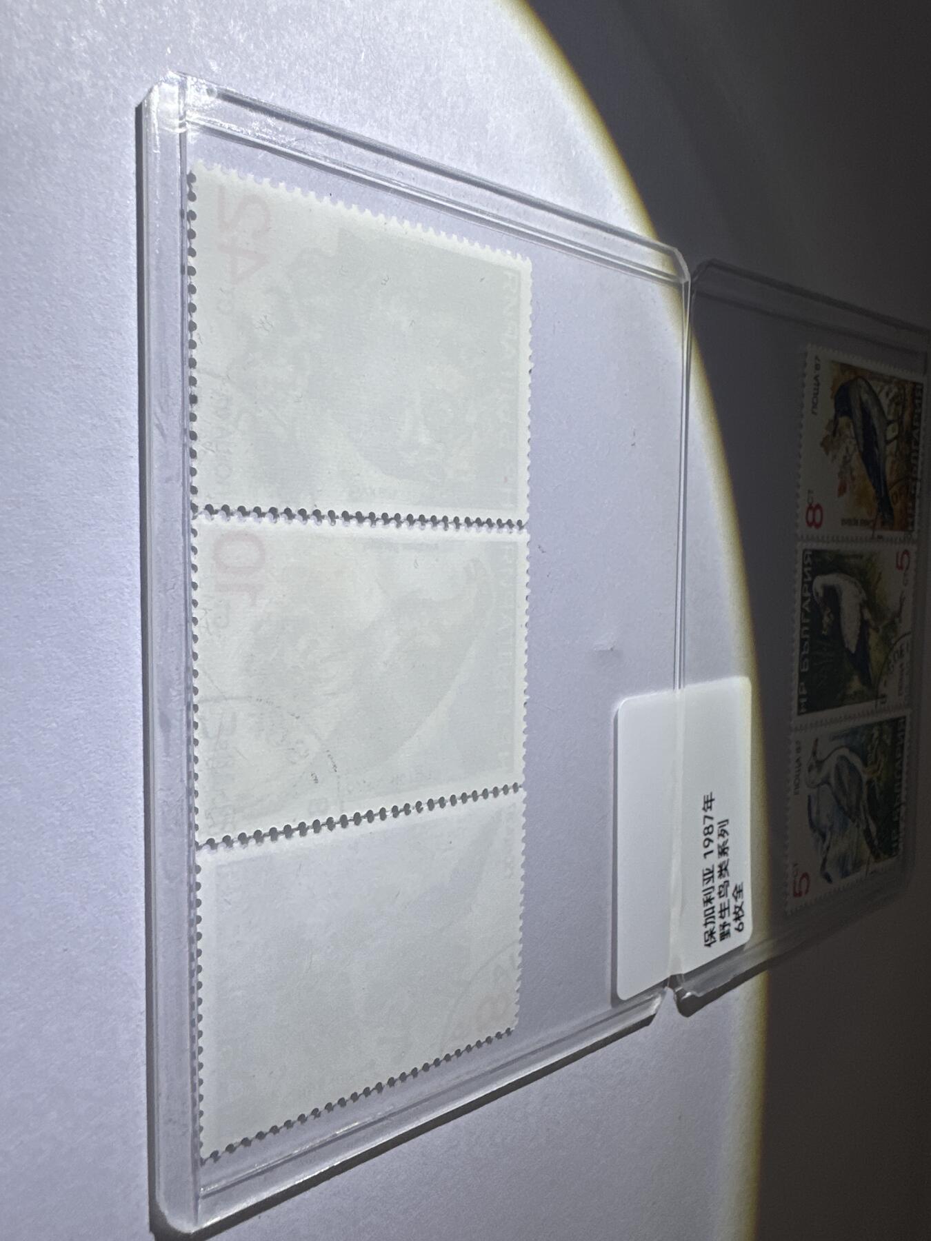 12.6邮票专场 保加利亚1987年野生鸟类系列6全