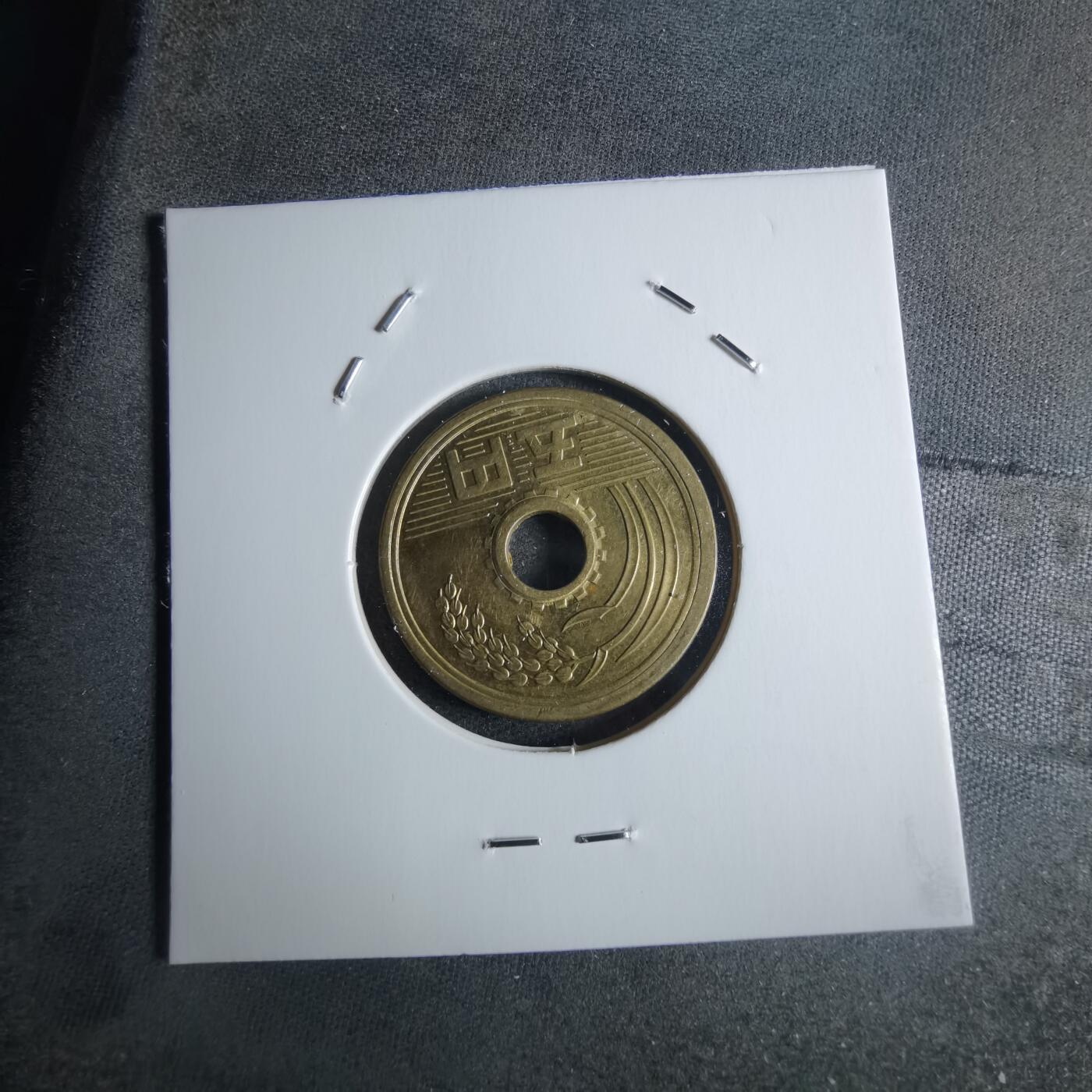 沼泽如烟--第922场