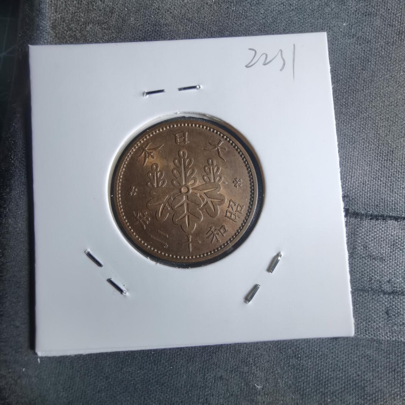 沼泽如烟--第922场