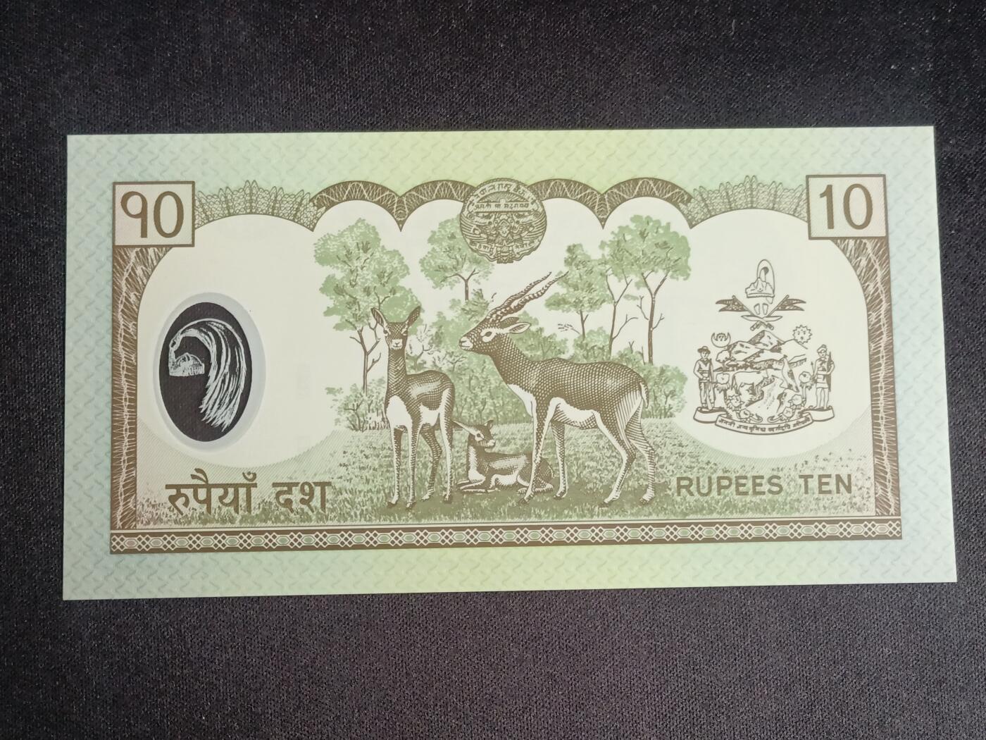 【游宝拍卖】乙巳蛇年91期 第四季首拍场  尼泊尔-10卢比【塑料钞 全新UNC】