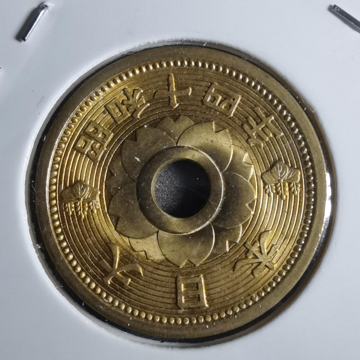 沼泽如烟--第922场