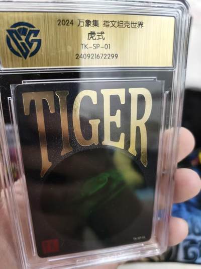 第十五期（周日截拍）惊喜不断看简介 - 2024 万象集 指文坦克世界虎式
TK-SP-01