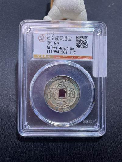 捡漏专场 - 安南成泰通宝