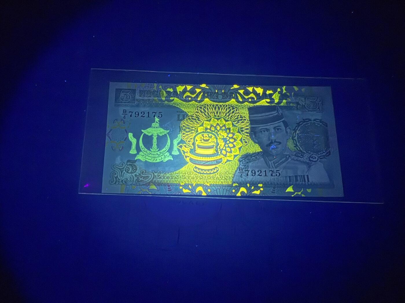 【炜奕收藏】，第五十二期 1993年文莱5林吉特，UNC品相