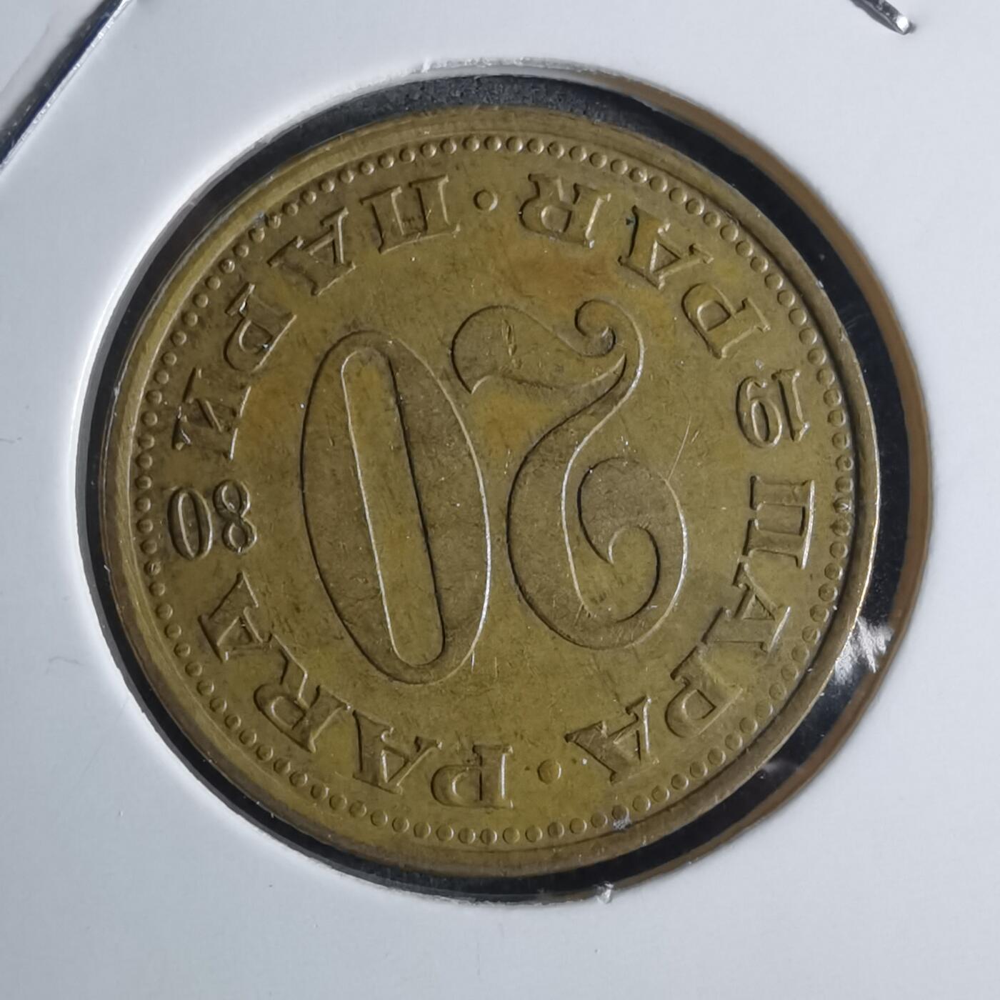 沼泽如烟--第922场