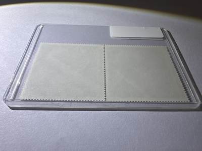 12.26邮票专场 以色列1974年首任总理吉利安2全