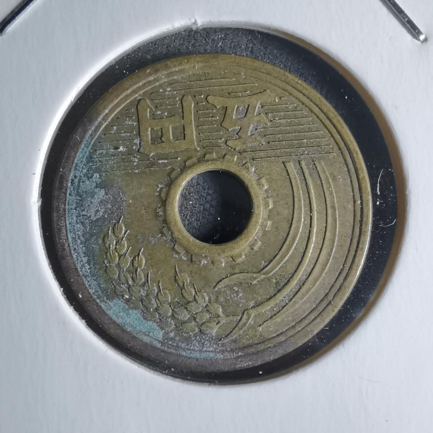 沼泽如烟--第922场