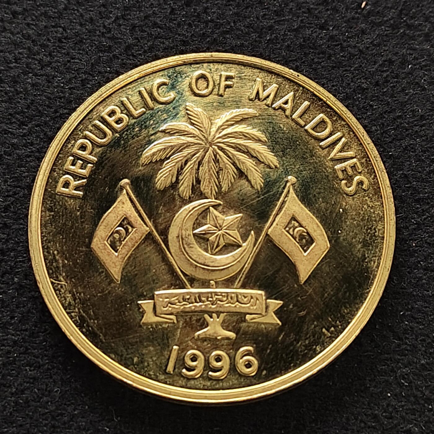 【全场包邮】纯粹捡漏拍483场（免费代拍第20场）