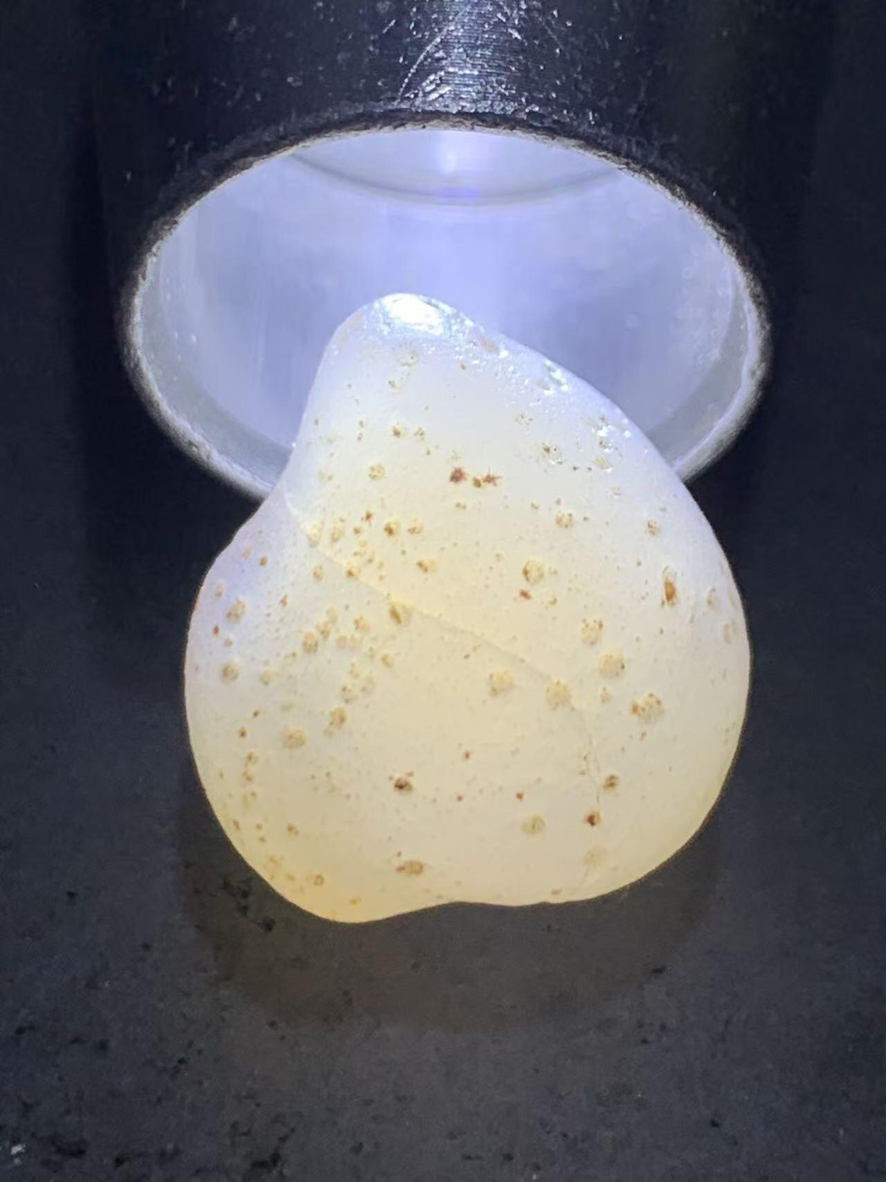 精美天然戈壁阿拉善寿桃形玛瑙原石一颗，