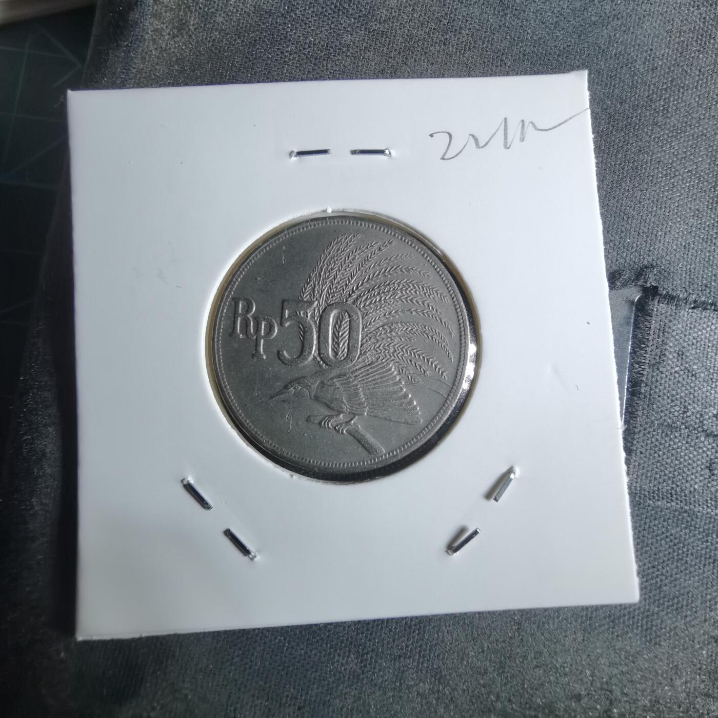 沼泽如烟--第922场