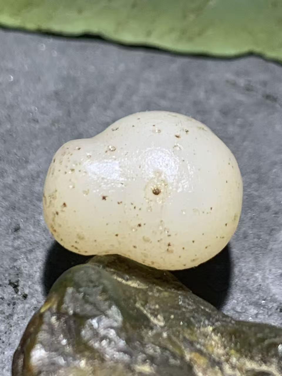 精美天然戈壁阿拉善寿桃形玛瑙原石一颗，