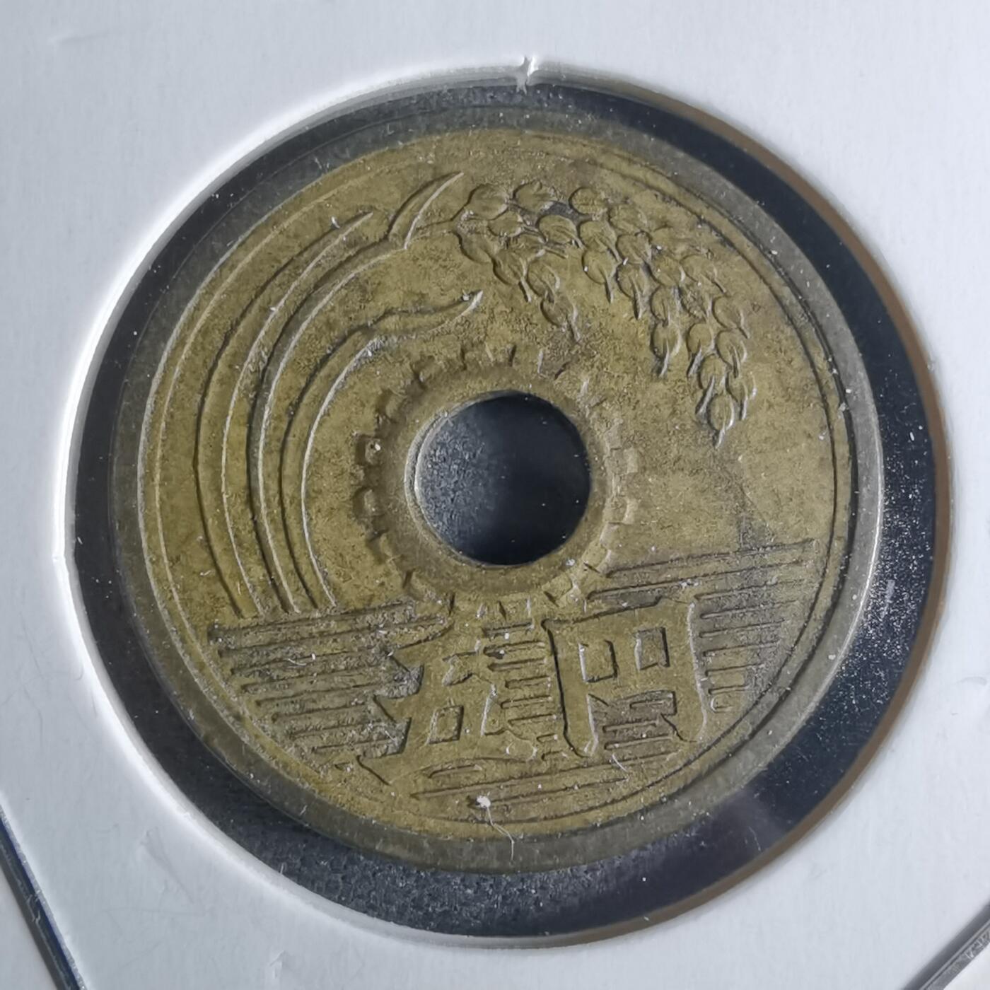 沼泽如烟--第922场