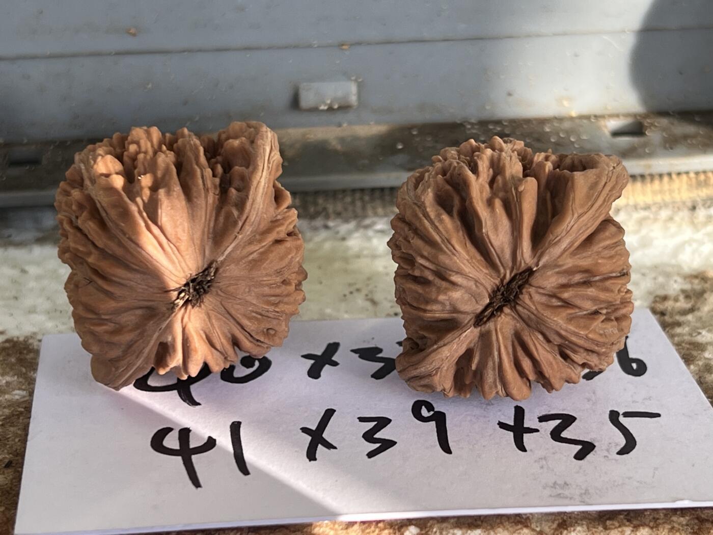 零元拍：自家2025年下树的文玩核桃四座楼狮子头，自家树的果子，无农药，无化肥，无夹板，不泡漂白剂，尺寸见图，以实物为准。没有做深度清理。因为打青皮晚了，有的皮壳被沤，造成皮质有色差，介意勿拍