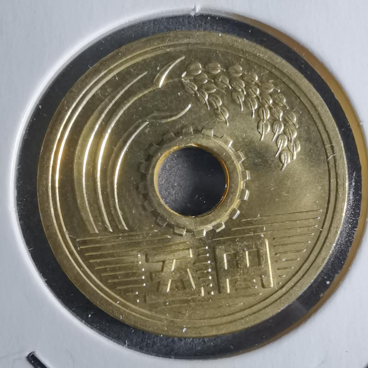 沼泽如烟--第922场