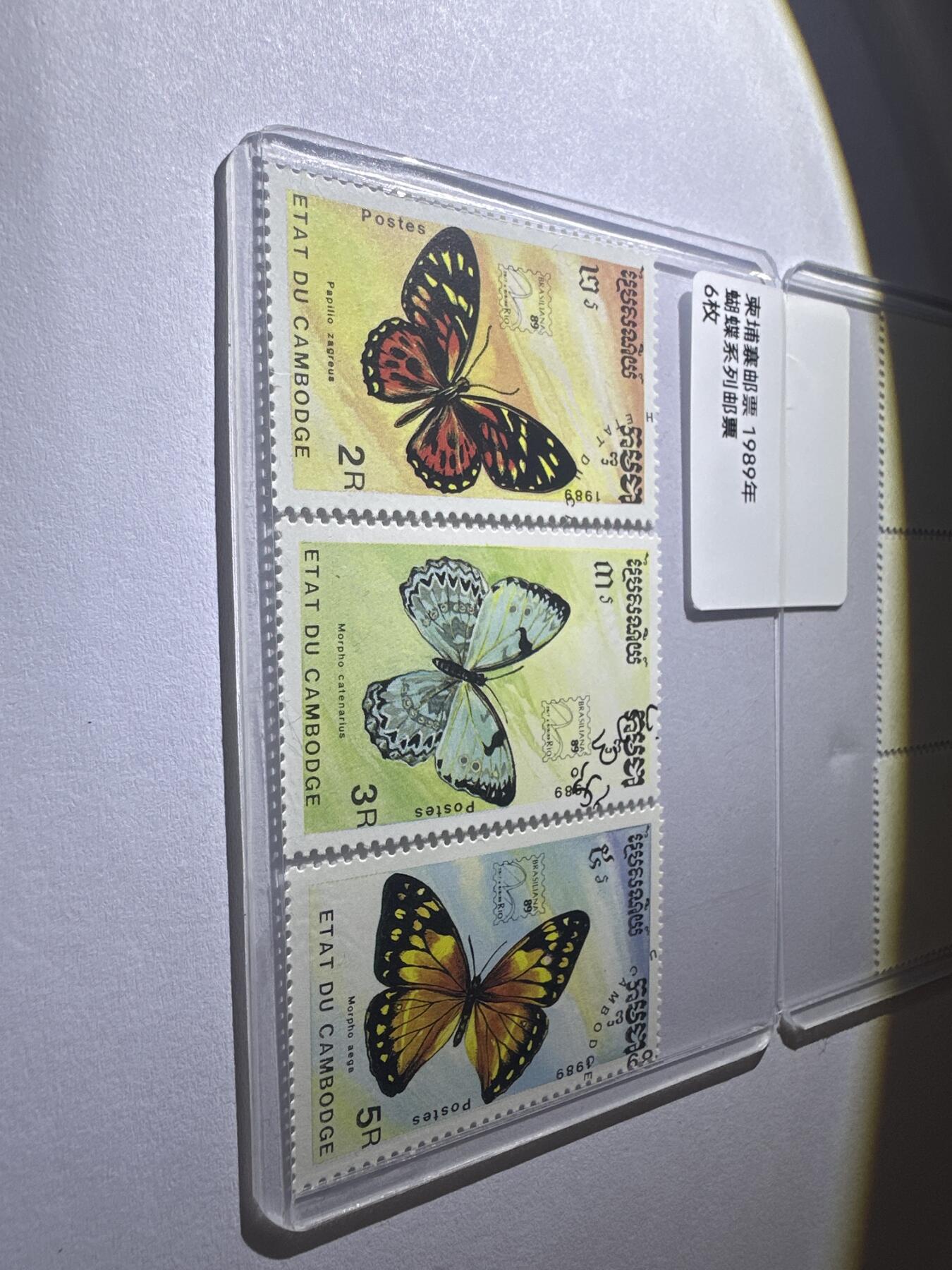 12.6邮票专场 柬埔寨1989年蝴蝶系列6枚