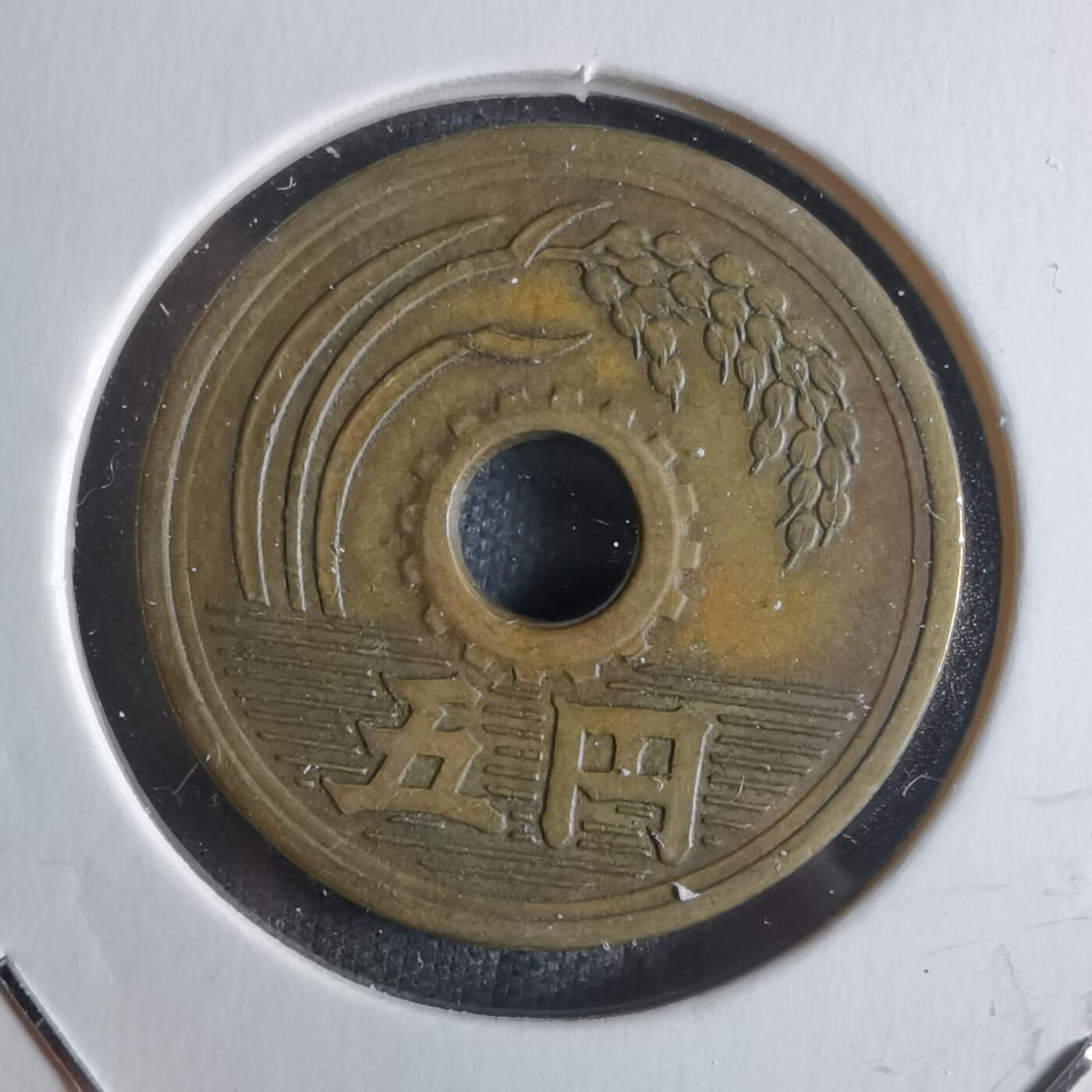 沼泽如烟--第922场