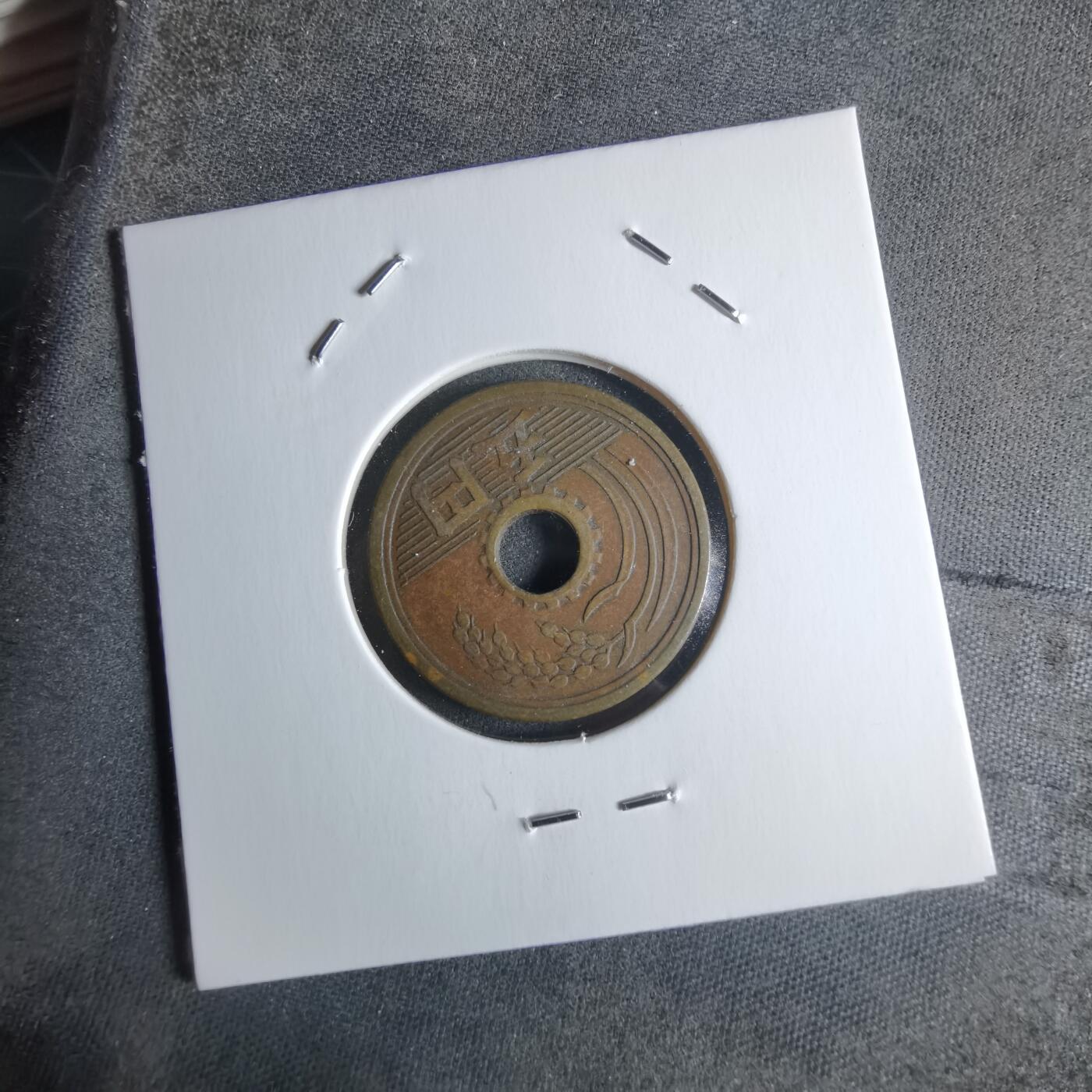 沼泽如烟--第922场