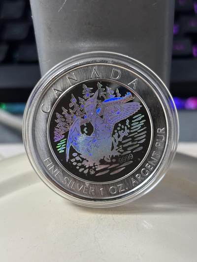 第184期拍卖 - 加拿大2002年潜鸟全息彩色1盎司纪念银币，9999银银价431，发行30000枚，有氧化