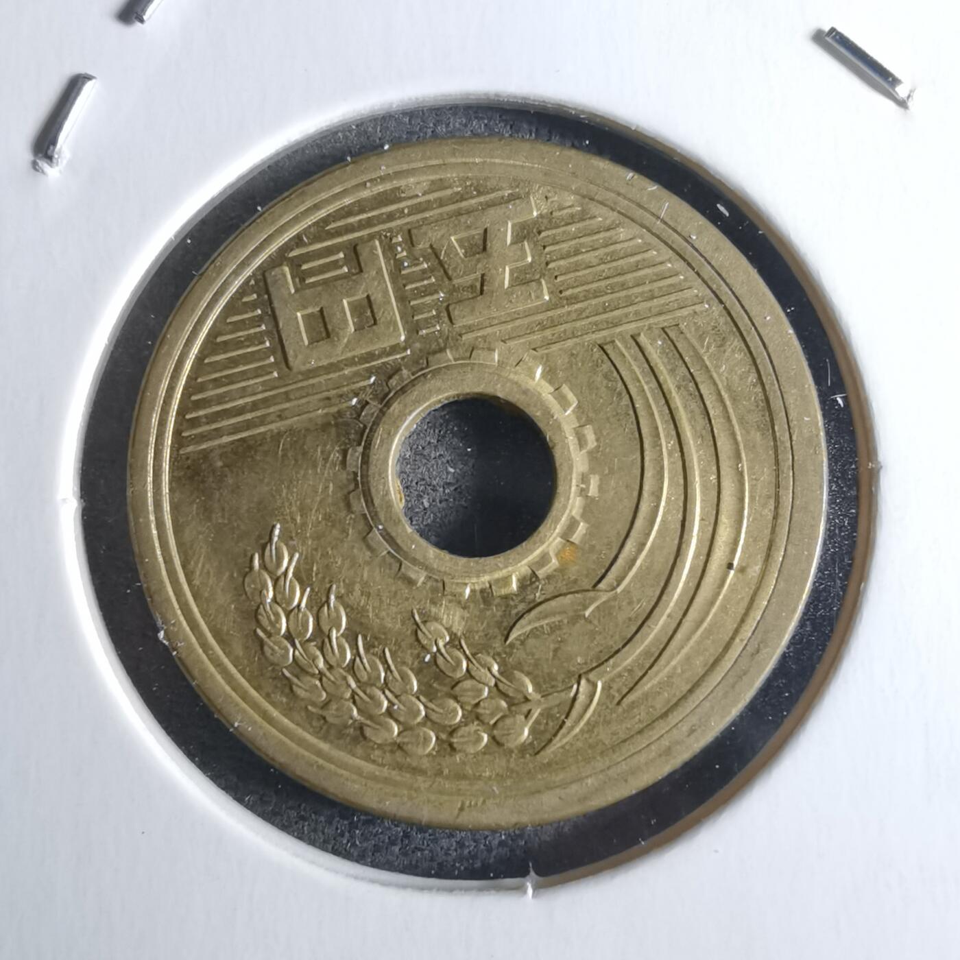 沼泽如烟--第922场