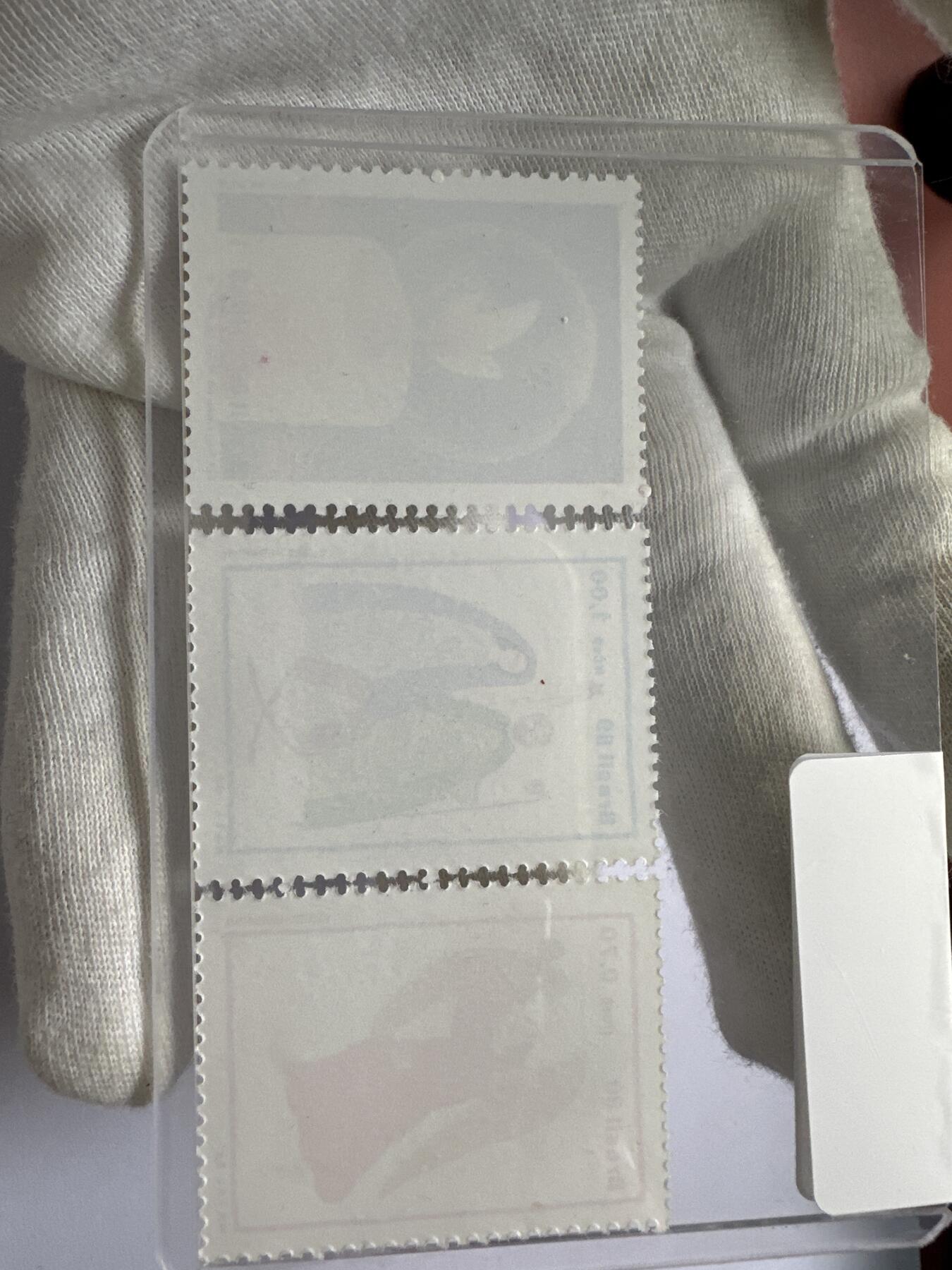 12.6邮票专场 巴西1989年圣诞节系列2枚+国际鸟类保护年纪念1枚