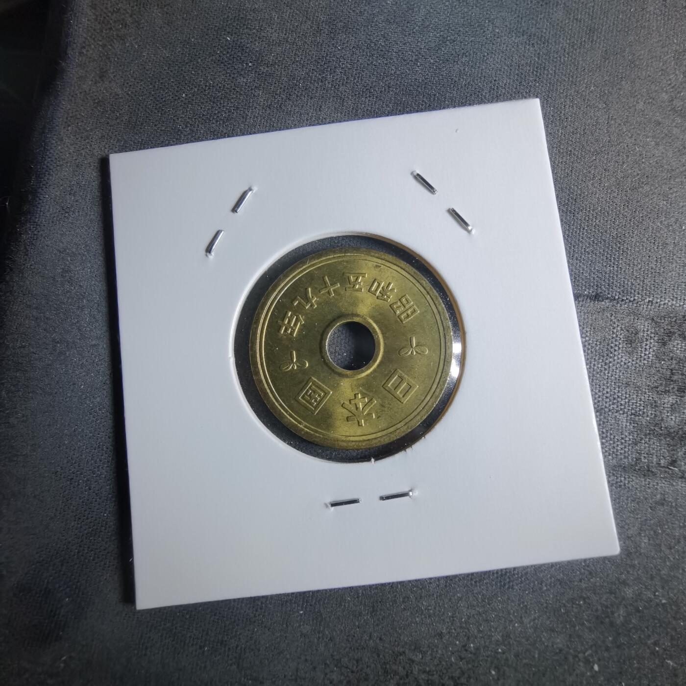 沼泽如烟--第922场