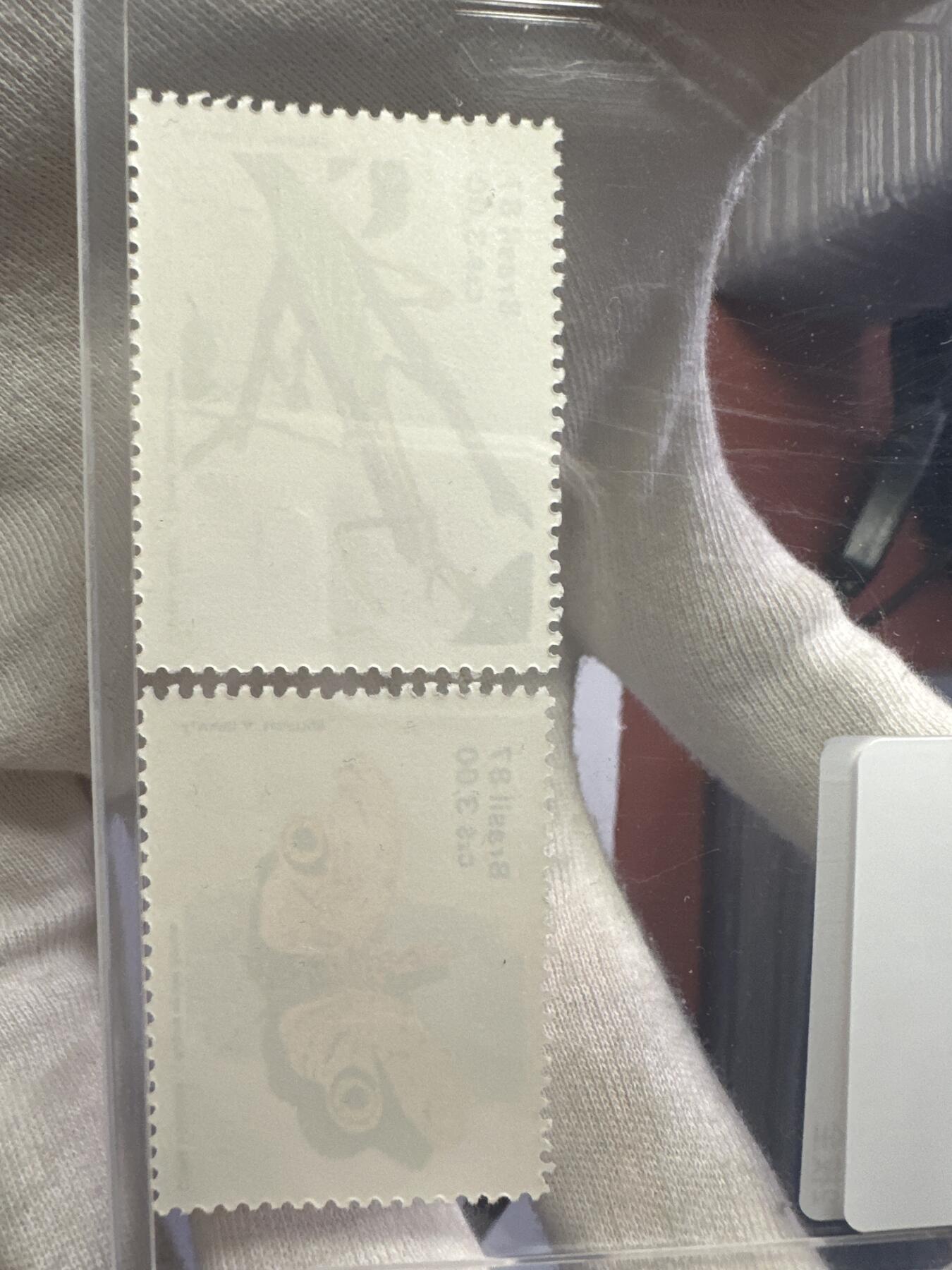 12.6邮票专场 巴西1987年昆虫学会成立五十周年 马丁木蝶 螳螂2枚全