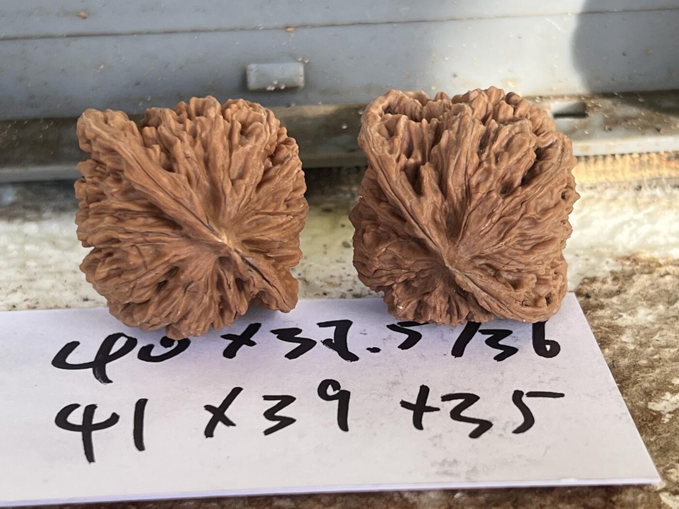 零元拍：自家2025年下树的文玩核桃四座楼狮子头，自家树的果子，无农药，无化肥，无夹板，不泡漂白剂，尺寸见图，以实物为准。没有做深度清理。因为打青皮晚了，有的皮壳被沤，造成皮质有色差，介意勿拍