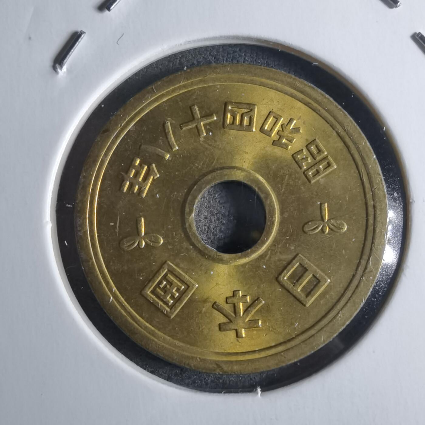 沼泽如烟--第922场