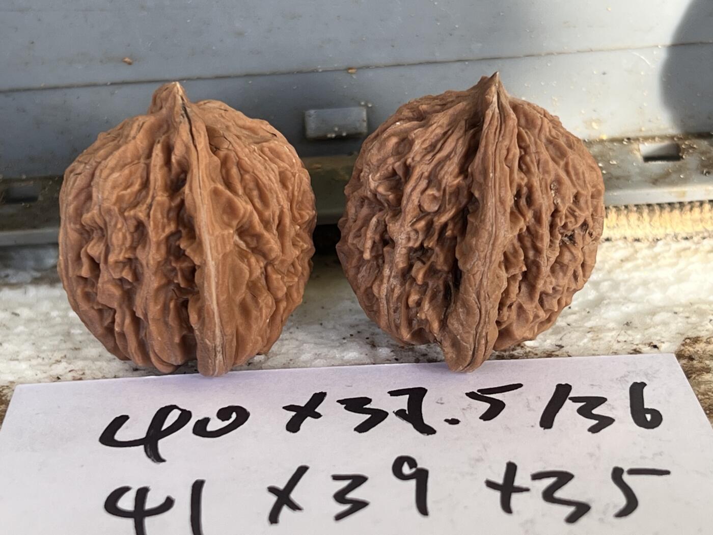 零元拍：自家2025年下树的文玩核桃四座楼狮子头，自家树的果子，无农药，无化肥，无夹板，不泡漂白剂，尺寸见图，以实物为准。没有做深度清理。因为打青皮晚了，有的皮壳被沤，造成皮质有色差，介意勿拍