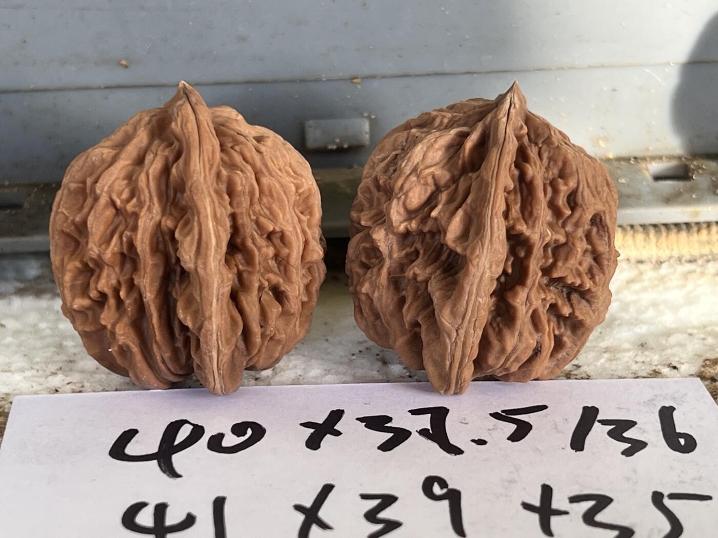 零元拍：自家2025年下树的文玩核桃四座楼狮子头，自家树的果子，无农药，无化肥，无夹板，不泡漂白剂，尺寸见图，以实物为准。没有做深度清理。因为打青皮晚了，有的皮壳被沤，造成皮质有色差，介意勿拍