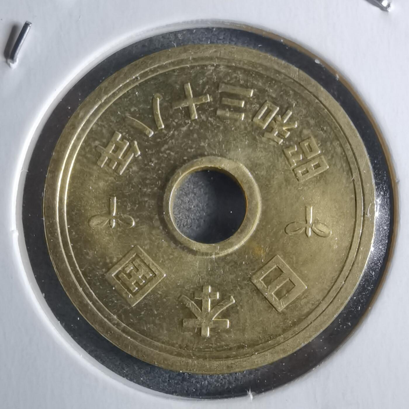 沼泽如烟--第922场