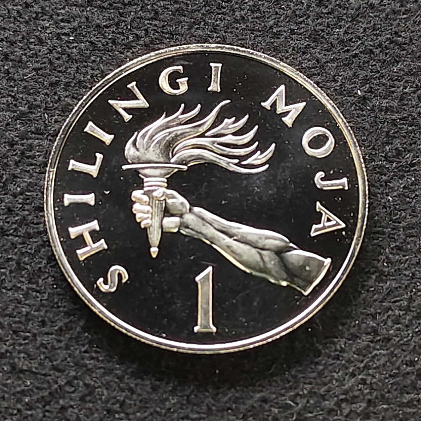 【全场包邮】纯粹捡漏拍484场（免费代拍第21场） 坦桑尼亚1966年1先令精制币