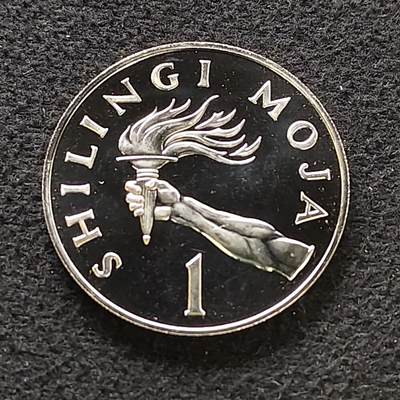 【全场包邮】纯粹捡漏拍484场（免费代拍第21场） - 坦桑尼亚1966年1先令精制币